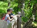 2014_06_Scotland_Day_10_Hiking_around_Callander (42)